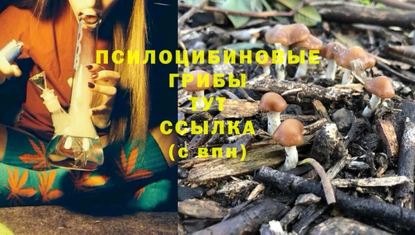 трава Белоозёрский