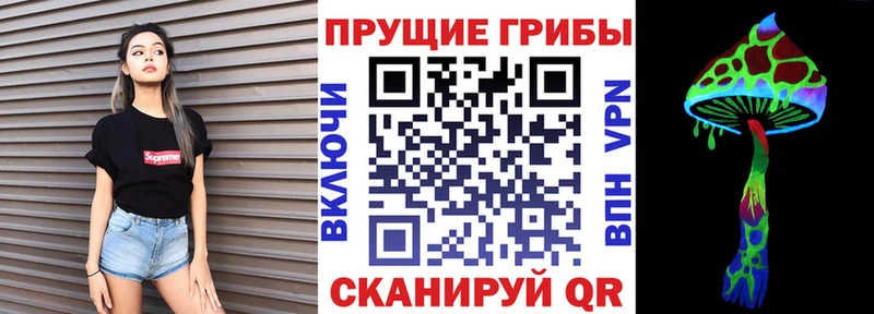 Псилоцибиновые грибы мухоморы  где купить наркотик  Шелехов 